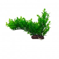 Растение с распылителем ZOLUX AEROPLANT, людвигия зеленая