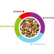 Картинка 2