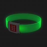 Нашийник для собак з підсвічуванням WAUDOG LED 25мм/35см, магнітна застібка