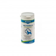 Заменитель молока для собак Canina Welpenmilch, 150 г