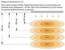 Картинка 5