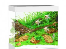 Аквариумный комплект Juwel Lido 120 LED белый, 120 литров