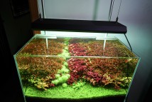 Купить светильник Chihiros RGB Vivid 2 для аквариумов до 90см - в