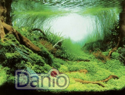 Фон для аквариума Aqua Nova Растения/Океан 150х60см