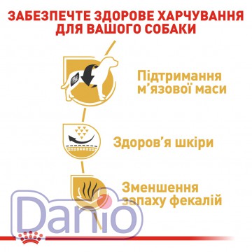 Корм для собак породы Французский Бульдог Royal Canin French Bul