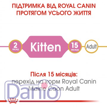 Корм для котят породы Мейн-Кун Royal Canin Maine Coon Kitten 2 к