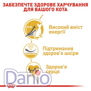 Корм для кошек породы Сфинкс Royal Canin Sphynx Adult 10 кг