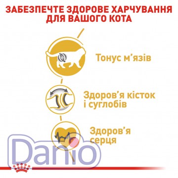 Корм для кошек породы Британская Короткошерстная Royal Canin Bri