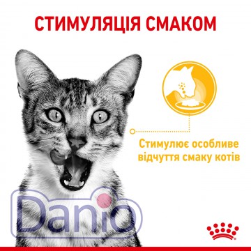Влажный корм для кошек Royal Canin Sensory Taste Chunks in jelly
