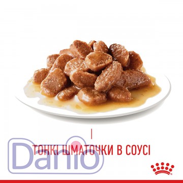 Влажный корм для кошек Royal Canin Hair and Skin Care Gravy для