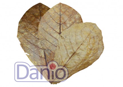 Dennerle Nano Catappa Leaves 5916