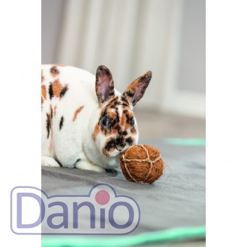 Trixie Игрушка для грызунов Trixie Кокосовый мяч d 6 см - Картинка 2