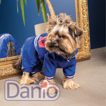 Дождевик для собак мелких пород Pet Fashion Silver, синий XXS