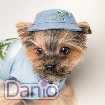 Панама для собак мелких пород Pet Fashion Blue, с цветочным прин