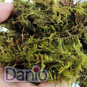 Сфагновый мох Repti-Zoo Sphagnum Moss 100 г (4,5 л) 