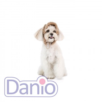 Шапка Pet Fashion Valley для собак, M бежевая