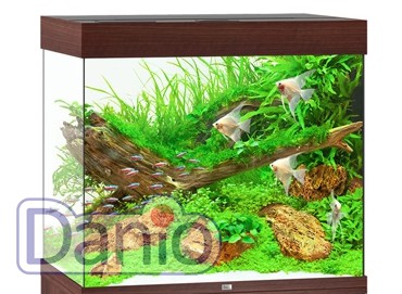 Juwel Аквариумный комплект Juwel Lido 200 LED коричневый, 200 литров - Картинка 1