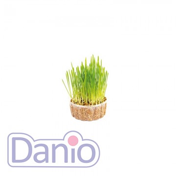 Природа Трава для кошек ТМ Природа Микс 70 грамм - Картинка 2