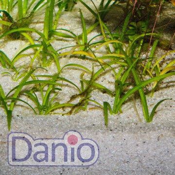 JBL (Германия) Грунт для акваріума JBL Sansibar River 0,8 мм, білий 5 кг, 67058 - Картинка 3